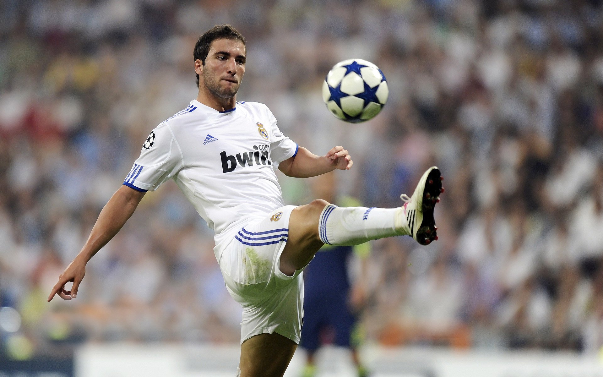 开云体育-英格拉姆爆发撕裂防线,森林狼节奏铁腕绞杀雄鹿 第2张 开云体育-英格拉姆爆发撕裂防线,森林狼节奏铁腕绞杀雄鹿 第2张